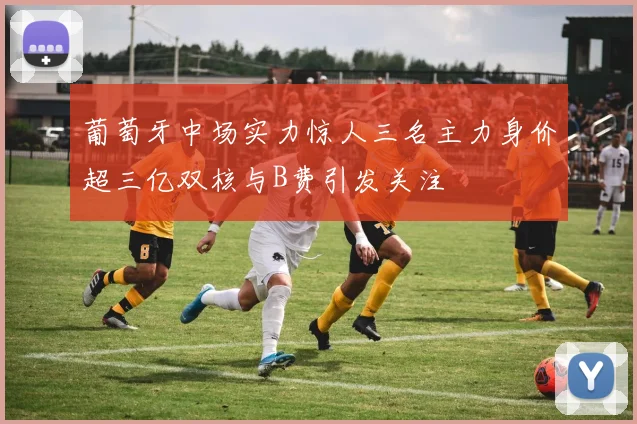 葡萄牙中场实力惊人三名主力身价超三亿双核与B费引发关注